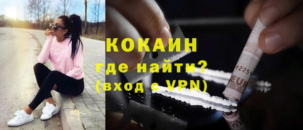 соль ск Арсеньев