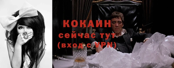 соль ск Арсеньев