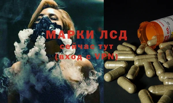 бошки Аркадак