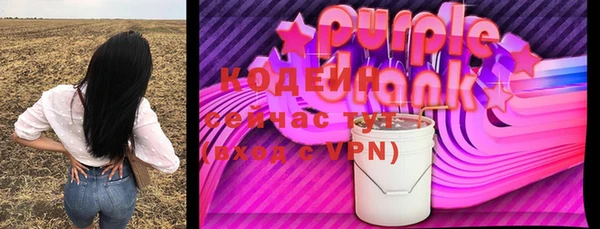 соль ск Арсеньев