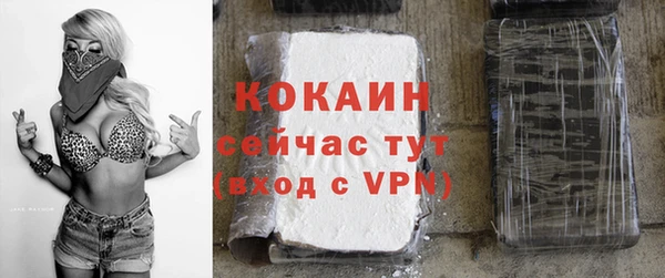 крисы Армянск
