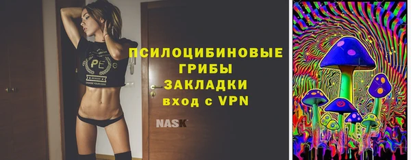 соль ск Арсеньев