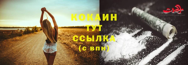 бошки Аркадак
